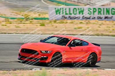 media/May-10-2025-Cobra Club (Sat) [[7b9c5022b1]]/Passenger/